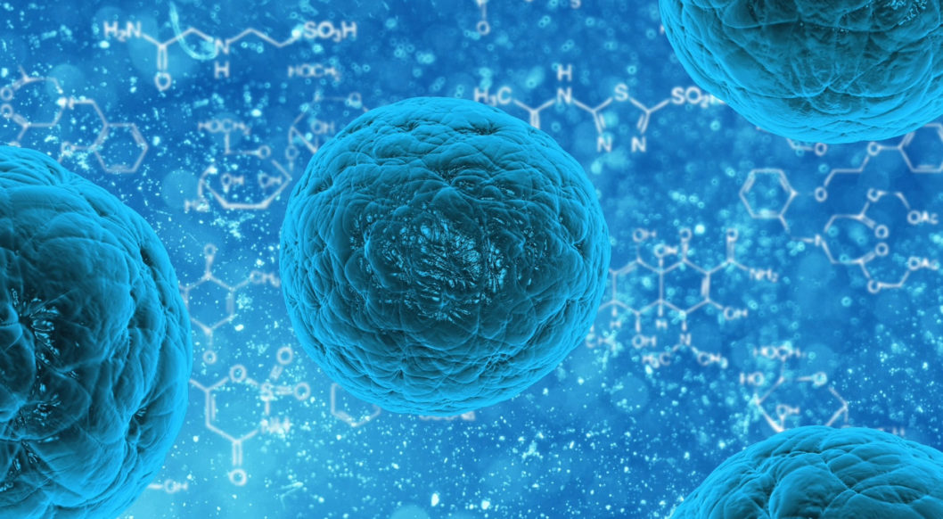 Die Besten Probiotika 2020 Im Test Darmflora Verstehen Und Aufbauen